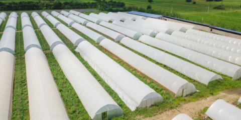 Horticultural Covers