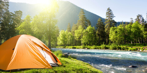 Camping/Leisure